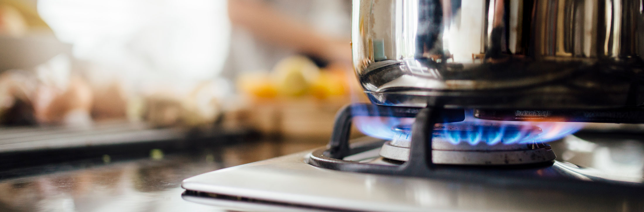 Reppliance repairs ovens and ranges